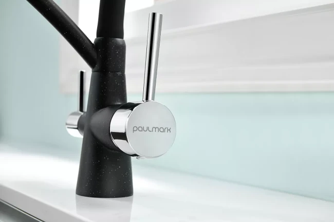 Смеситель Paulmark Siegen однорычажный с гибким шлангом