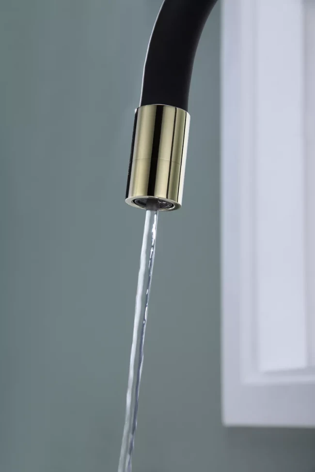 Смеситель Paulmark Salix с гибким изливом