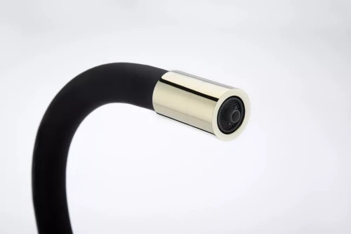 Смеситель Paulmark Salix с гибким изливом Золото G