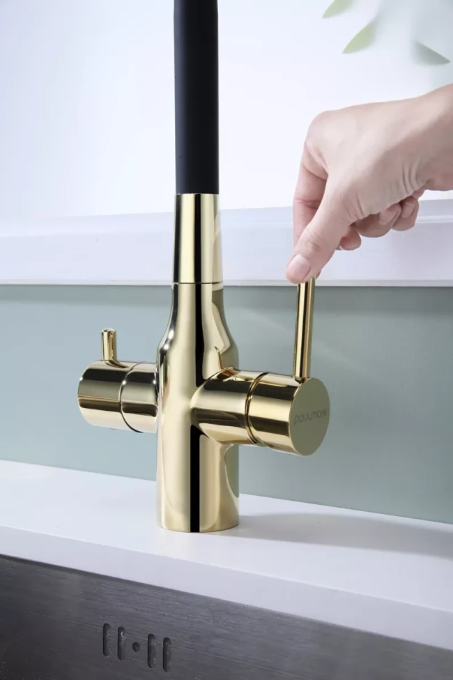 Смеситель Paulmark Salix с гибким изливом