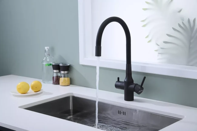 Смеситель Paulmark Salix с гибким изливом