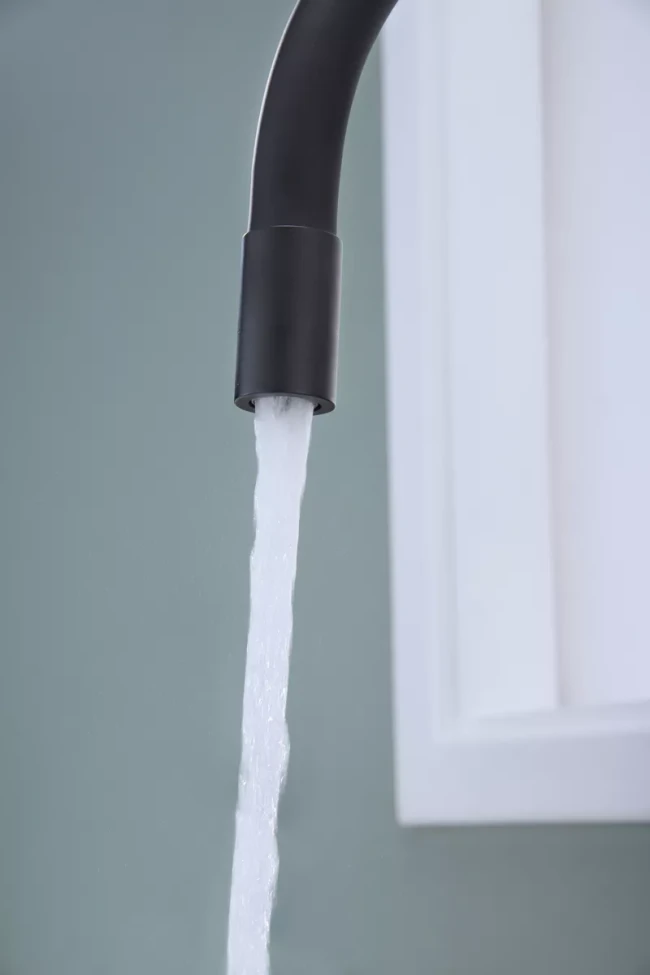 Смеситель Paulmark Salix с гибким изливом