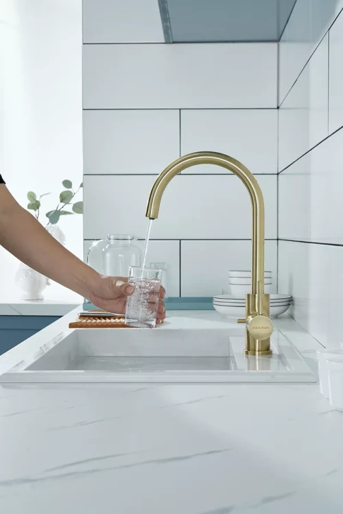 Смеситель Paulmark Essen с подключением к фильтру для воды Бронза BR