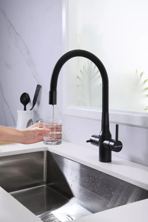 Смеситель Paulmark Salix с гибким изливом черный