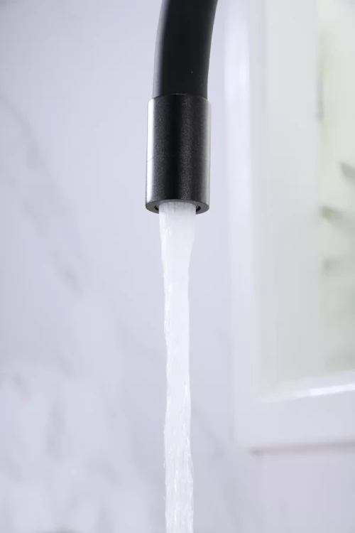 Смеситель Paulmark Salix с гибким изливом черный