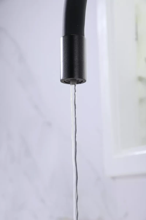 Смеситель Paulmark Salix с гибким изливом черный