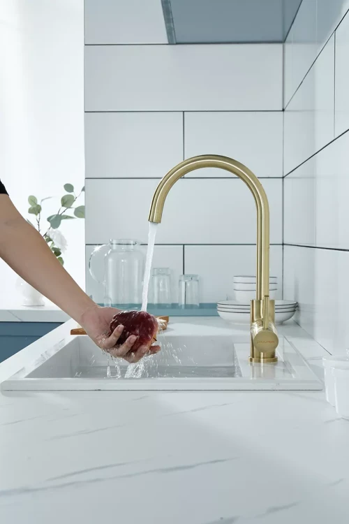 Смеситель Paulmark Essen с подключением к фильтру для воды Бронза BR