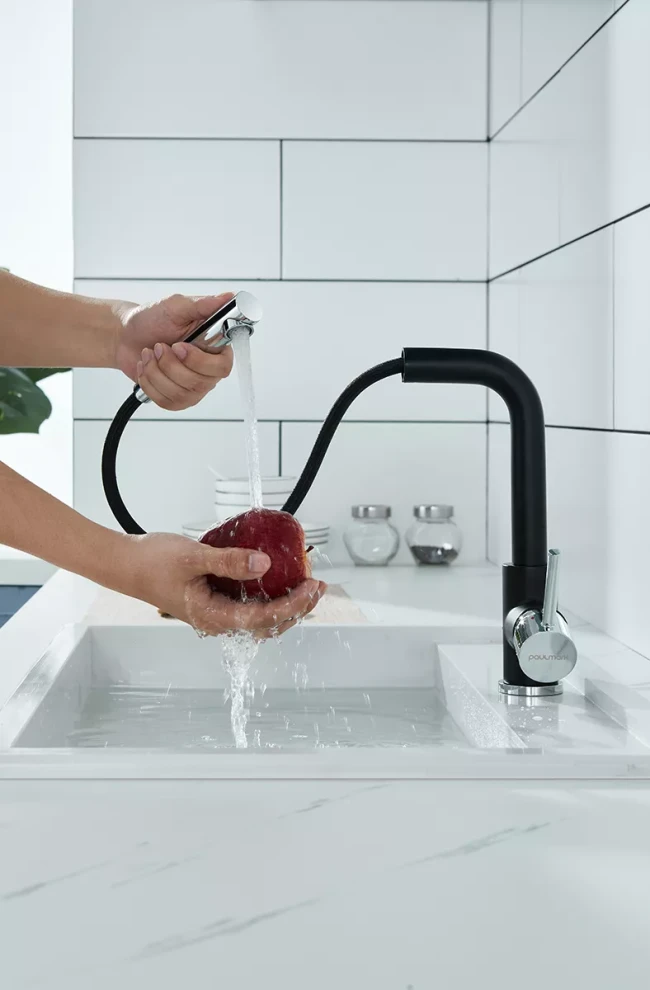 Смеситель Paulmark Kassel с выдвижным изливом