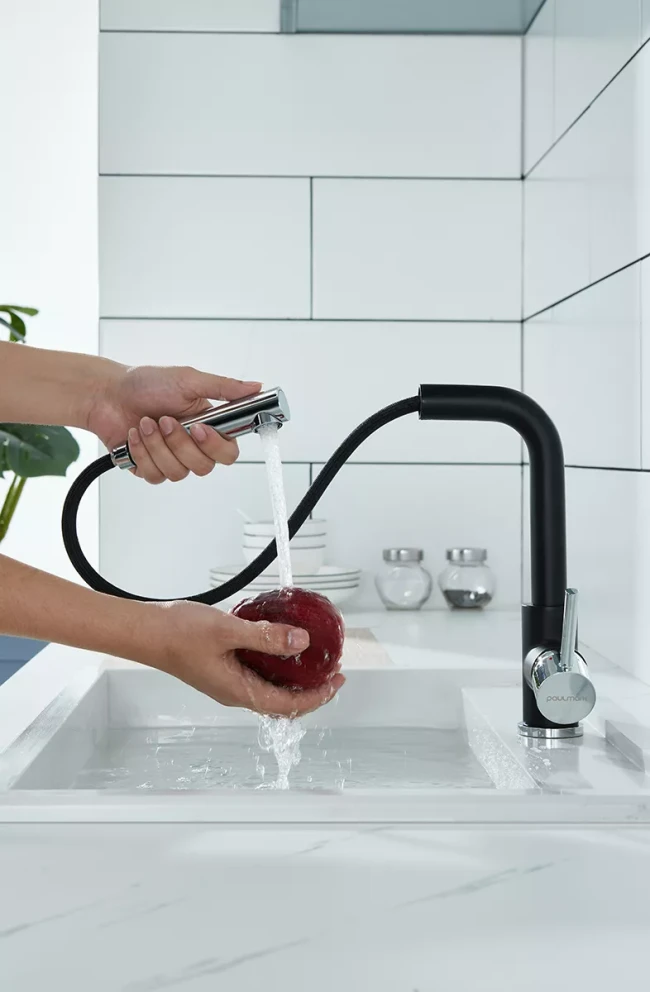 Смеситель Paulmark Kassel с выдвижным изливом