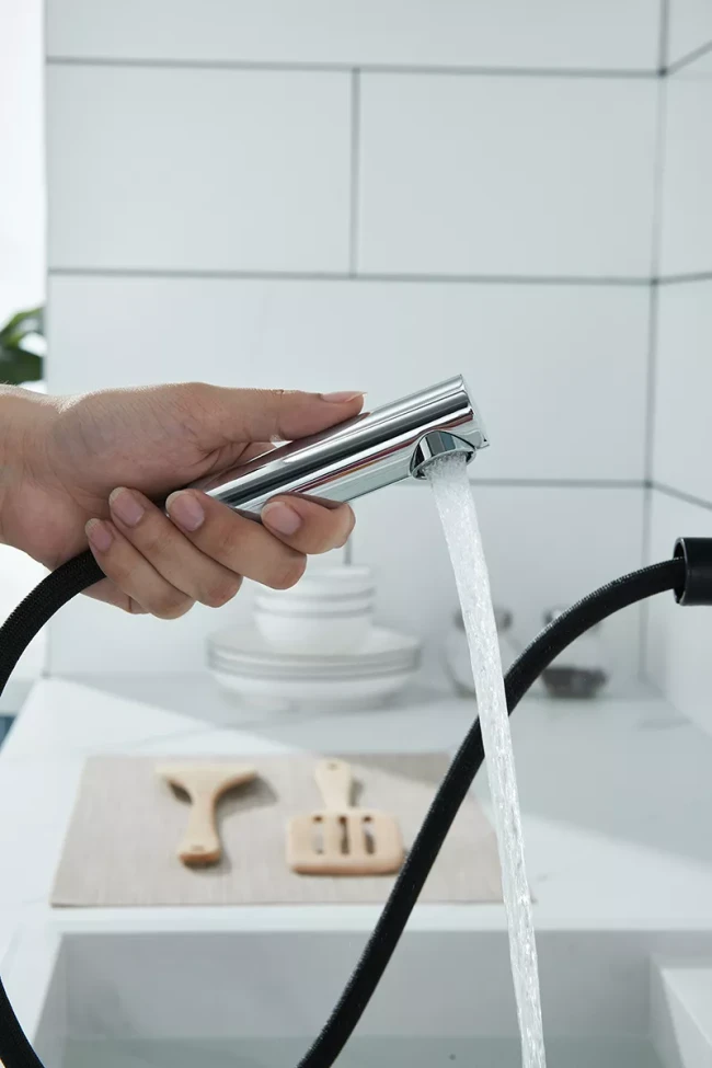 Смеситель Paulmark Kassel с выдвижным изливом