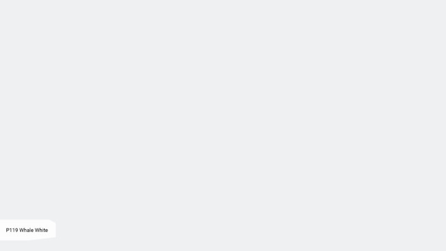 P 119 Whale White