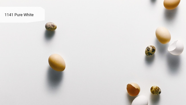 1141 Pure White