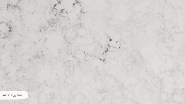 NM 110 Foggy shell