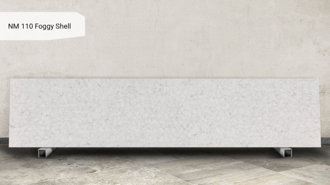 NM 110 Foggy shell