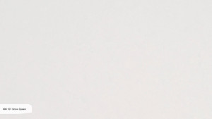 NM 101 Snow Queen NM 101 Snow Queen