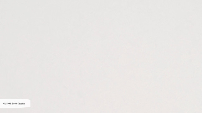 NM 101 Snow Queen