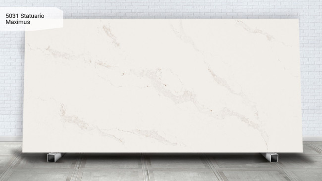 5031 Statuario Maximus