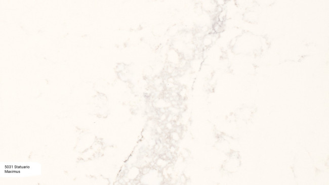 5031 Statuario Maximus