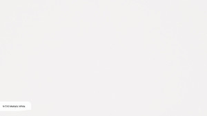 N 510 Mettalic White N 510 Mettalic White