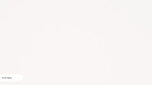 N 010 White N 010 White