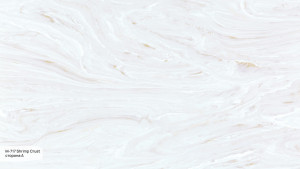 M 717 A Shrimp Crust M 717 A Shrimp Crust