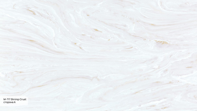 M 717 A Shrimp Crust