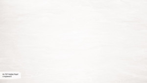 M 707 А Noble Pearl M 707 А Noble Pearl