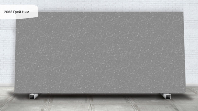 2065 Грей Ним