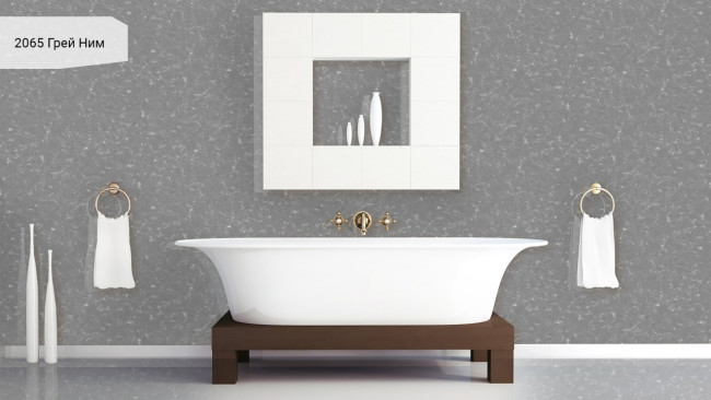 2065 Грей Ним