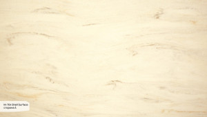 M 704 A Shell Surface M 704 A Shell Surface