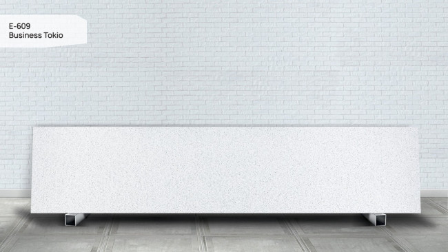 E 609 Business Tokio