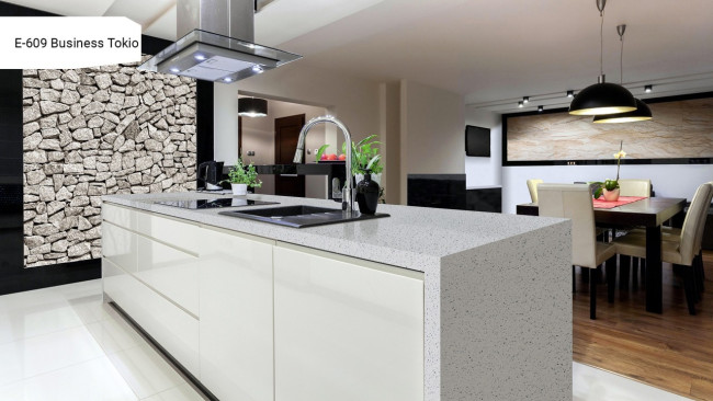 E 609 Business Tokio