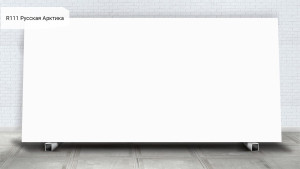 R 111 Русская Арктика