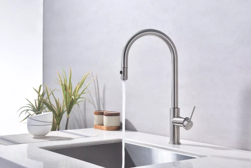 Смеситель Paulmark Galant с подключением к фильтру для воды однорычажный Брашированная сталь